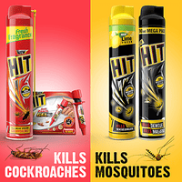 HIT Cockroach Killer Spray, 200 ml - GROFOO