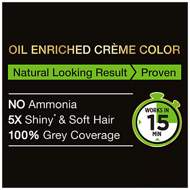 Garnier Black Naturals Hair Colour, 20 ml + 20 g Shade 2, Original Black - GROFOO