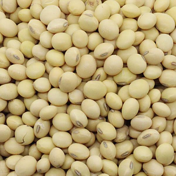 bb Royal Soya Bean, 500 g Pouch - GROFOO