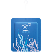 Godrej Aer Power Pocket Bathroom Fragrance - Sea Breeze, 10 g - GROFOO