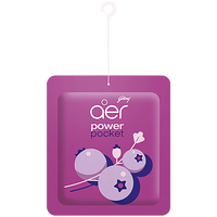 Godrej Aer Power Pocket - Long Lasting Bathroom Fragrance, Berry Rush, 10 g - GROFOO