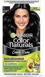 GARNIER BOX SMALL HAIR COLOUR MINI SHADE1 NB - GROFOO