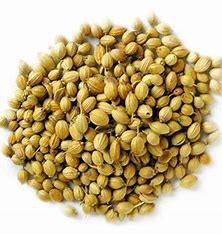 CORIANDER WHOLE 100GM - GROFOO