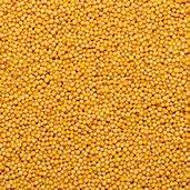 PRAKRITI YELLOW SARSO 100GM - GROFOO