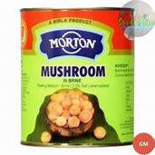 MORTON MUSHROOM 800GM - GROFOO