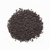 PRAKRITI BLACK SARSO 100GM - GROFOO